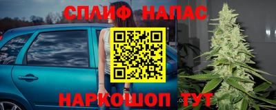 ешки Пугачёв