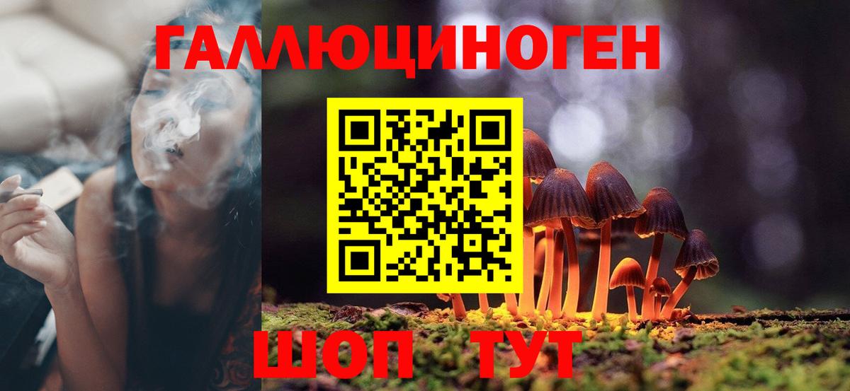 Галлюциногенные грибы мицелий  Вход с VPN  где можно купить   Новокуйбышевск 