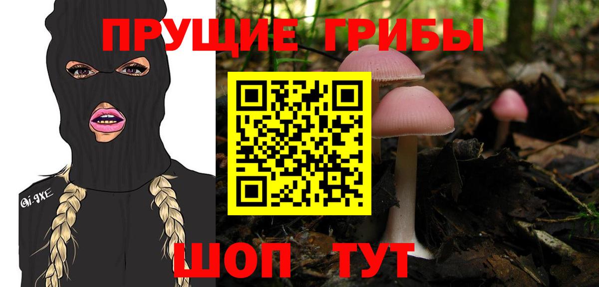 Галлюциногенные грибы Psilocybine cubensis Новокуйбышевск